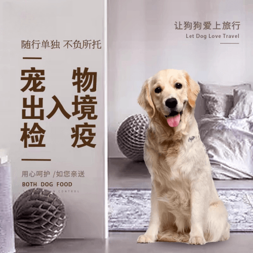 商洛市宠物托运到哥伦比亚猫狗宠物入境规定和