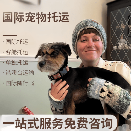 商洛市国际宠物托运到阿根廷宠物入境规定和要