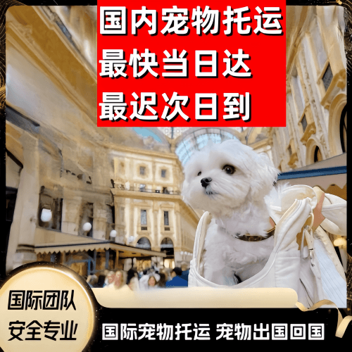 商洛市到澳大利亚（澳洲）宠物入境规定和要求