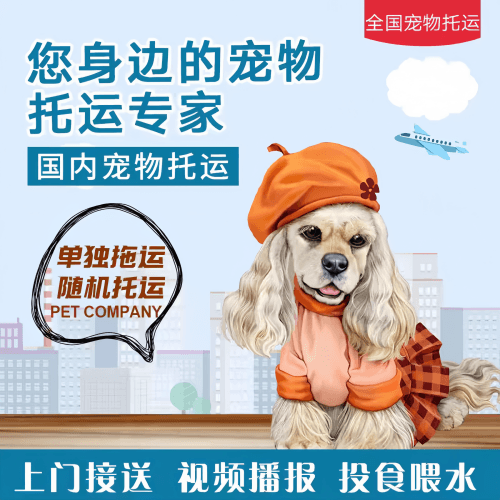 满财商洛市宠物全球达宠物托运作为专业的宠物运输代理机构